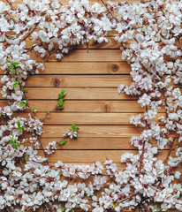 Branches with apricot petals and bushes with green leaves are beautifully laid out on a wooden brown background. Composition and concept, copy space. Spring blooming flowers.
