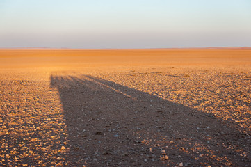 The tracks of a safari vehicle accentuated by the early morning light. Khomas region, Central Namibia.