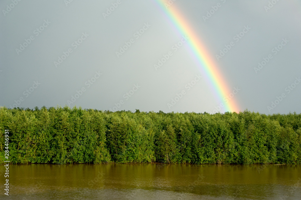 Sticker russia, typical river views between goritzy & kizhi island. white lake area, rainbow over the forest