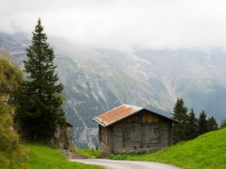 Fototapeta na wymiar Switzerland, Bern Canton, Murren, Wood barn in alpine environment