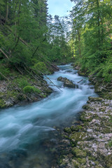 Slovenia, near Bled, Vintgar Gorge