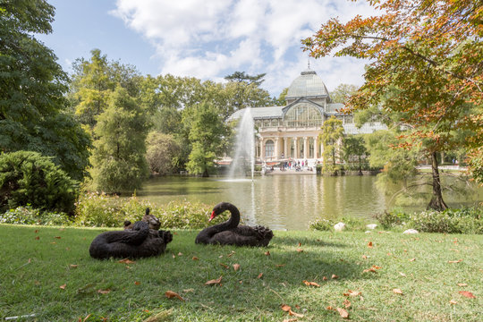 Palacio de Cristal. Parque del Retiro. Madrid, Spain.