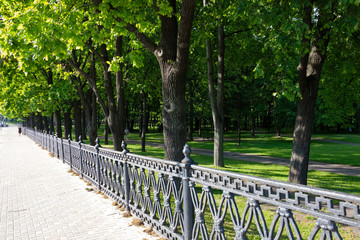 Fototapeta premium Park lined with trees. Minsk, Belarus.