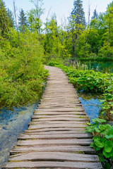 Croatia, Plitvice National Park. Wooden walkway over water. 