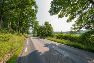 Small and sunny country road between forest and meadows.