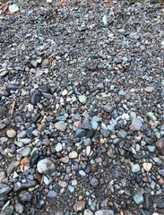 Stones of life