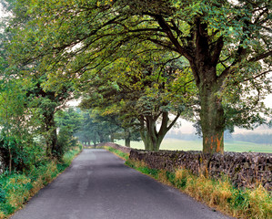 England, Yorkshire Dales NP. A quiet country road leads through Yorkshire Dales NP, England.