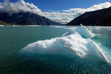 Greenland, Qooroq Fjord. A sea of icebergs on Qooroq Fjord in southern Greenland.