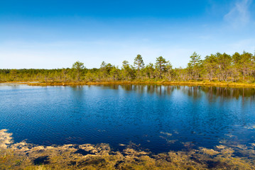 Fototapeta na wymiar Viru Bog (Viru Raba) peat swamp, Lahemaa National Park, Harjumaa, Laane-Virumaa, Estonia, Baltic States