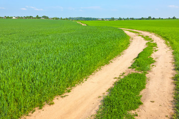 Fototapeta na wymiar Dirt road going through farmland. Mir, Belarus.