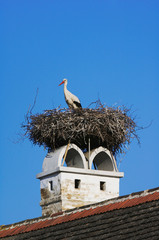 Fototapeta premium White Stork, Ciconia ciconia, adult on nest on chimney,Rust, National Park Lake Neusiedl, Burgenland, Austria, April