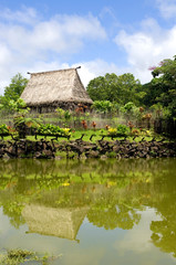 Traditional meeting house, Viti Levu, Fiji
