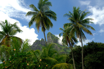 Fototapeta na wymiar South Pacific, French Polynesia, Society Islands, Bora Bora