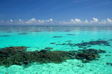 South Pacific, French Polynesia, Moorea