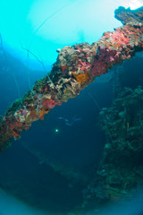 Japanese Teshio Maru Standard 1 V Freighter Wreck from WWII, Palau, Micronesia, Western Pacific