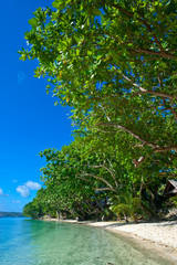 Beach at the Aore islet before the Island of Espiritu Santo, Vanuatu, South Pacific