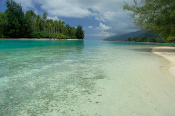 South Pacific, French Polynesia, Moorea. Shallow lagoon with white sand.