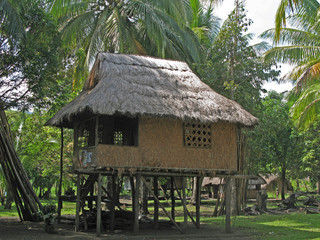 Fototapeta na wymiar Papua New Guinea, Morobe Province. Native hut.