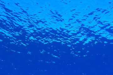 upward angle of calm ocean water, Palau, Micronesia, Rock Islands, World Heritage Site, Western Pacific