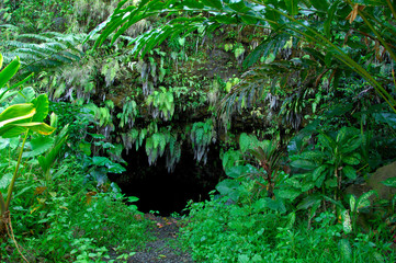 South Pacific, French Polynesia,Tahiti. Maraa Cave (aka Grotte de Maraa) fern grotto and lava tube...