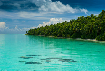 Little islet and turquoise water in the Ant Atoll, Pohnpei, Micronesia