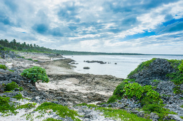 Rocky coastline on Ha'apai, Tonga, South Pacific