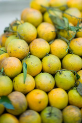 Weekly Tuesday fruit & vegetable market, Southern Zone of Rio De Janeiro, Praca General Osorio, near Ipanema Beach, Brazil 