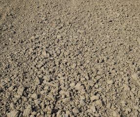 Plowed field, rows from soybean sowing. Soil on the field