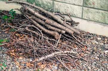 集めた枝