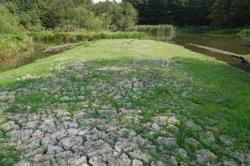 Ein Teich, Tümpel fast ohne Wasser, Biotop