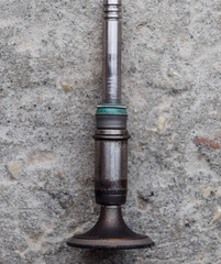 The valve of the engine. Engine part, intake exhaust valve