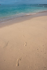 Las Bachas Beach, Santa Cruz Island, Galapagos Islands, Ecuador.