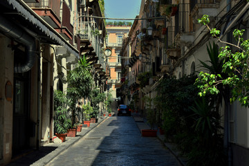 Typical Italian street in Catania. Narrow paved road with little trees and colorful buildings with small balconies on both sides