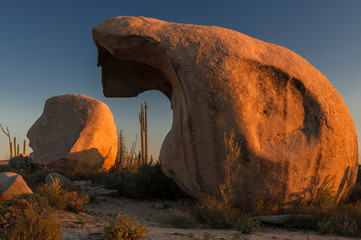 Mexico, Baja California. Boojum Trees (Fouquieria columnaris) and boulder formations at sunset near...