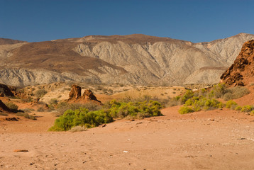 Mexico, Baja California, Bahia de las Animas. Pattern on hilltop caused locals to name Scorpion Mountain and Scorpion Bay