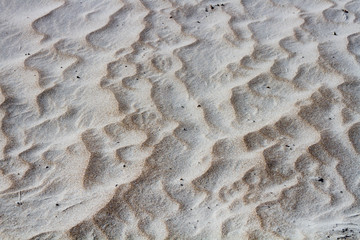 Sand dunes. Isla Magdalena. Baja California, Sea of Cortez, Mexico.