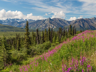 USA, Alaska. Landscape of Chugach Mountains. Credit as: Don Paulson / Jaynes Gallery / DanitaDelimont.com