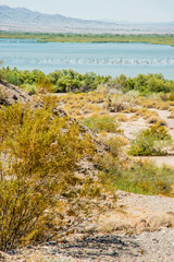 Fototapeta na wymiar USA, Arizona, Drought Spotlight number 3, Rte 66 Expedition, Havasu National Wildlife Refuge, Golden Shore RV Park (off Powell Lake Road) on Goose Lake