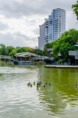 lake surrounded by natural and tropical landscapes of a park with an arch bridge cruising the lake with beautiful green tones and reflection in the water and city buildings in the background