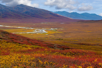 USA, Alaska, Brooks Range. Landscape of tundra and Dietrich River. Credit as: Don Paulson / Jaynes...