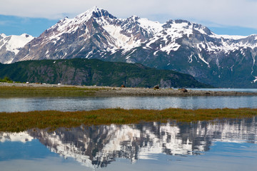 USA, Alaska, Glacier Bay National Park. Mountains reflect in tidal flats. Credit as: Don Paulson / Jaynes Gallery / DanitaDelimont.com