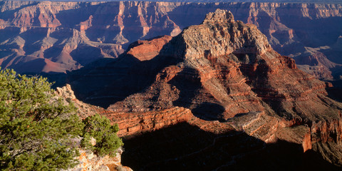 USA, Arizona, Grand Canyon National Park, North Rim, Evening light on Vishnu Temple and surrounding...