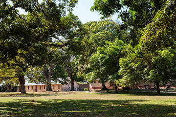 French Guiana, Ile Royale. View of prison through trees.