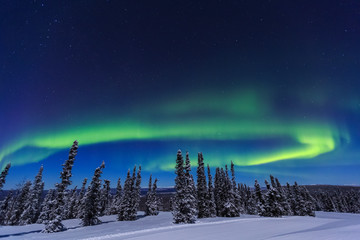 Aurora borealis, Northern Lights near Fairbanks, Alaska - obrazy, fototapety, plakaty