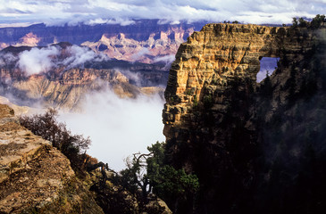Fototapeta premium USA, Arizona, Grand Canyon National Park. North Rim, Clouds swirl around Angels Window on Cape Royal