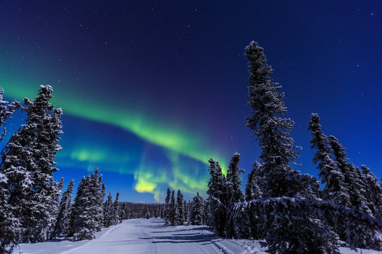 Aurora borealis, Northern Lights near Fairbanks, Alaska