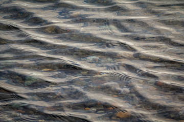 USA, Alaska. Ripples on water near the shoreline in Auke Bay.