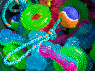 USA, Arizona, Buckeye. Close-up of colorful dog toys.