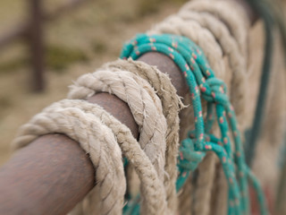 Tucson, Arizona: Ropes and hanrnesses used on horse drawn wagons