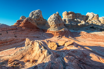 Textured sandstone landscape, Vermillion Cliffs, White Pocket wilderness, Bureau of Land...